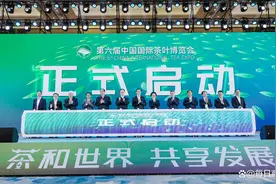 不出杭州喝遍全国名优茶，第六届中国国际茶叶博览会启幕图片