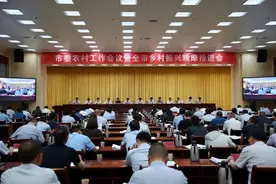 洛阳市委农村工作会议暨全市乡村振兴观摩推进会召开图片