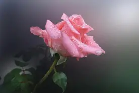 告诉女儿：不管和谁结婚，都要留这两个心眼，不是心机，而是远见图片