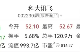 科大讯飞大跳水的背后图片