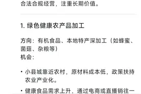 DeepSeek预测“未来五年，小县城暴利可做的8个小生意”图片