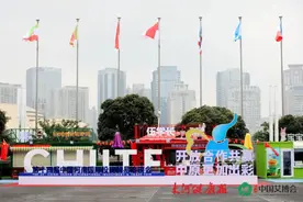 为“艾”而来——艾博会首日参展人次破万图片