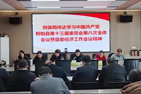 桐柏县财政局传达学习第十三届县委第八次全体会议暨县委经济工作会议精神图片