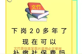 下岗20多年了现在可以补缴社保费吗图片