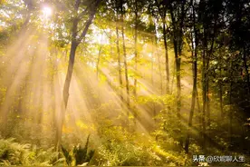 连续上了20天班，今天终于休息了，谁懂底层工作者的无奈和心酸图片