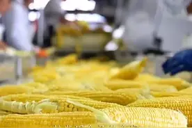 别再被骗了！这几种转基因水果带隐患，购买需谨慎！图片