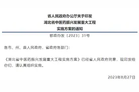 湖北省人民政府办公厅印发湖北省中医药振兴发展重大工程实施方案图片