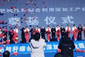 中泰秸秆综合利用深加工产业园落地山东肥城图片