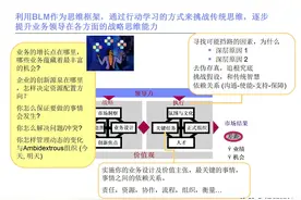 详解华为花 3000 万引进的业务领先模型BLM：从战略制定到落地执行图片