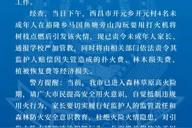 西昌警方通报一起山火火情：系4名未成年将树枝点燃后引发，责令其监护人赔偿经济损失图片
