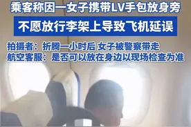 重庆机场一女子不愿把LV包放行李架致飞机延一个小时，评论区炸锅图片