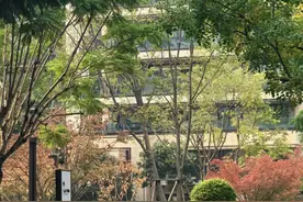 高层住宅到底能不能买？我住了三年多，跟大家说说心里话图片