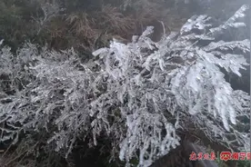 你知道吗，南宁也曾下过雪，还不止一次图片