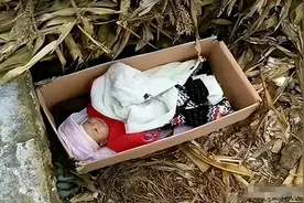 10年养父捡破烂供出清华才子，亲爸1000万认亲，儿子：赶紧拿钱走图片