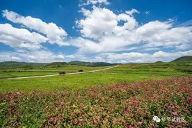 毕节“市歌”火出圈！带你走进《奢香夫人》里的美景！图片