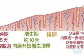 子宫内膜增厚，一定要刮宫吗？图片