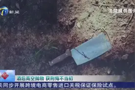 天津一女子酒后与男友吵架，将菜刀从25楼扔下，法院：拘役五个月，缓刑七个月，处罚金1500元图片