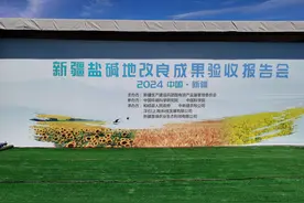 新疆和硕2000亩盐碱地改良项目成功图片