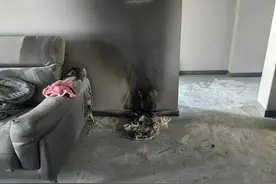 面目全非！猫咪惨死！“纵火犯”竟然是……图片