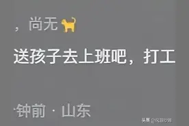 听到音乐就会跳舞的鹦鹉，网友戏言：该送它去上班！一起快乐摇摆图片