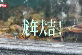 一天进货8000多只，老板笑不动了！上海人餐桌上的这道龙年大菜，还要涨…图片