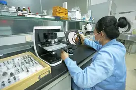 亲子鉴定使用什么样本结果最准确?图片