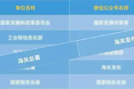 2024数字政府评估大会在京召开 “海关发布”获评部委优秀政务微信公众号图片