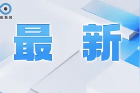 粮食概念板块短线拉升 新赛股份5连板图片