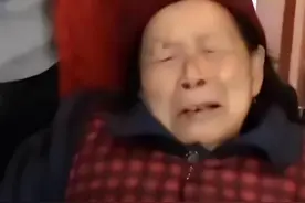 10年前，小男孩扶人被讹百万，老太发誓“骗人死全家”，结局如何图片