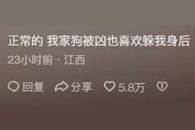 韩国人团伙盗窃被抓后，大喊我们是中国人，网友评论回击太有才了图片