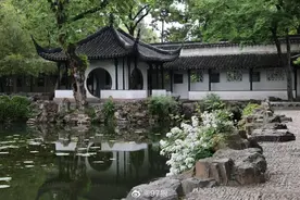 拙政园·蔷薇盛放园林初夏图片