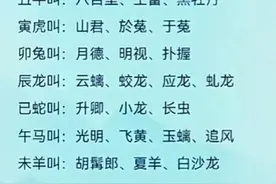 你知道12生肖不同的雅称吗？下面详细了解！图片