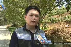 凌晨四点接到订单，他越开心里越慌……图片