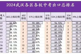 一文读懂：武汉外初、外校龙班怎么上？图片