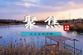中国改革报头版+整版报道鹤壁！图片