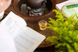 世间皆苦，唯有自渡，放下执念，放过自己图片