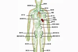 宝宝肚子疼，又是它惹的祸图片