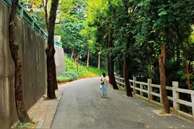 地铁直达！这条广州市区8公里徒步路线景色太治愈了图片