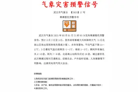 武汉发布寒潮橙色预警！看花春游的人请注意：今天午后有小到中雨+雷电！图片
