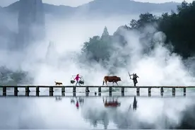 夫妻到了老年，“最晚走”的那个人，会活得很卑微图片