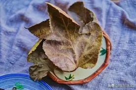 阴囊潮湿，30g【桑叶】治愈，量小发汗，量大止汗图片