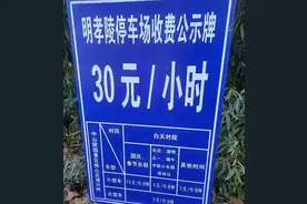 南京停车7小时收费217.5元惹争议，初衷是建议大家绿色出行图片