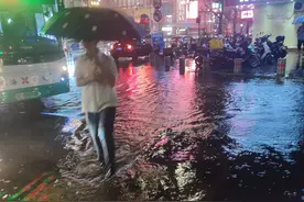 以前的岭南是蛮荒之地，不毛之地！潮湿，蚊虫叮咬，荒凉偏僻！图片