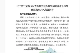 停运、关闭！辽宁发布暴雪蓝色预警！沈阳应急最新提示！图片