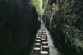 人生何苦？图片