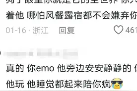 敢不敢暴自己的瓜。总觉得自己累的跟狗似的，其实狗比人过的快乐图片