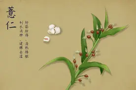 【关注健康】呼噜越响不是睡得越好，可能是你脾不好！中医教你用这6个方法缓解，还身边人一片清静图片