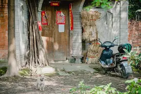 俗语“一怕门前椿，二怕床上梁，三怕坟后疮”啥意思？为啥要怕？图片