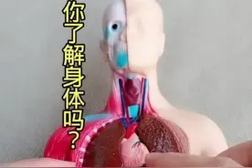 人体最脏的六个地方，你知道吗？图片