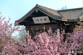 定了！上海能乘地铁到无锡了图片